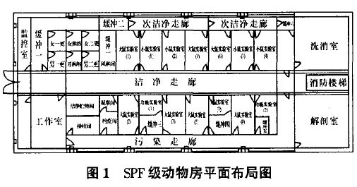 动物房洁净工程设计方案